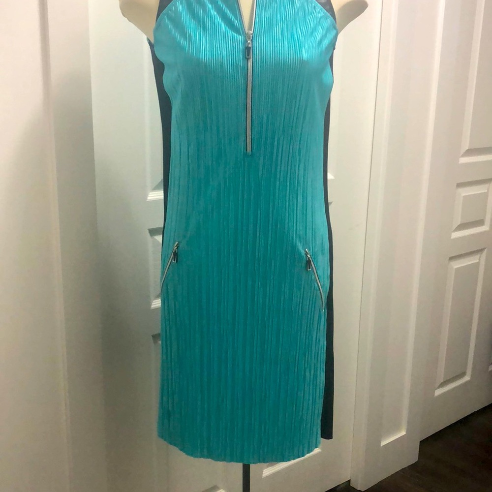 Teal with a black stripes down the sides